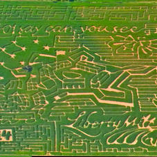 2014 Corn Maze