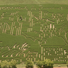 2012 Corn Maze