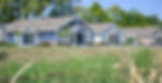 _DSC4470 copy_edited.jpg