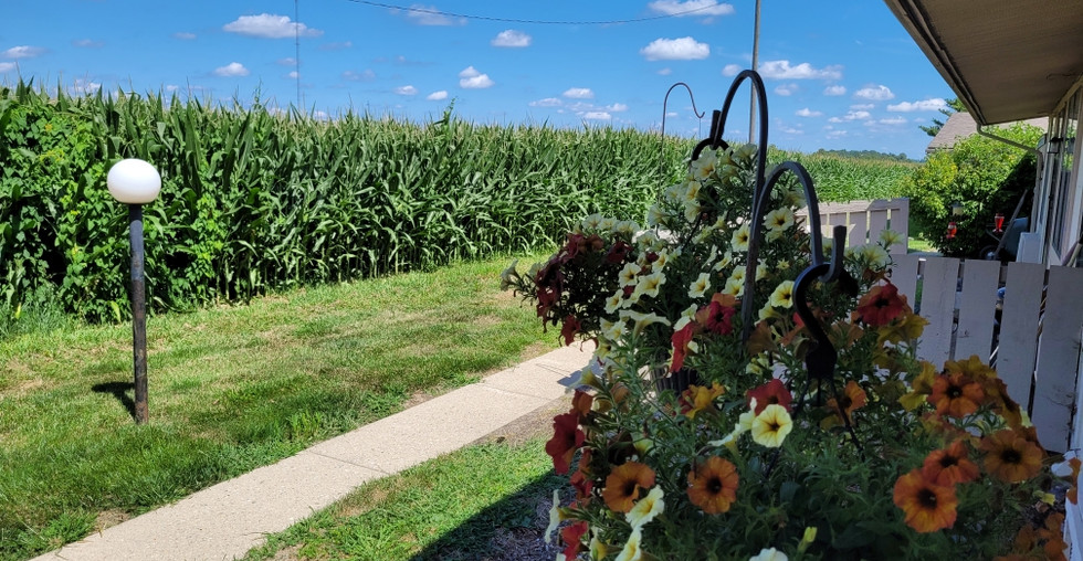 HARTWICK APARTMENTS Renewing Management