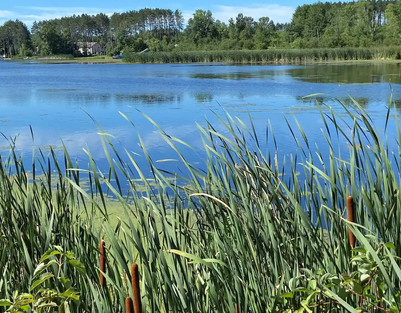 lake.webp