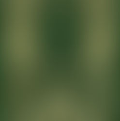 Book Review of ‘Endymion or The State of Entropy’ by Kurt Ward