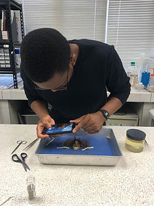 WhatsApp Image 2023-08-04 at 11.19.30 AM.jpeg