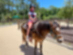 Girl riding a pony in Disney World