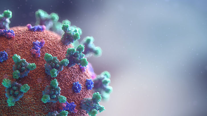 fusion-medical-animation-npjP0dCtoxo-uns