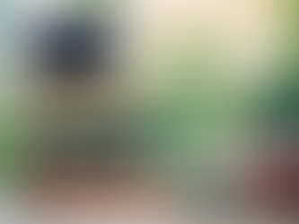 Reframing My Academic Journey