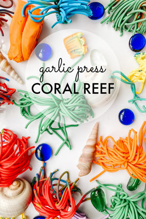 Garlic Press Coral Reef