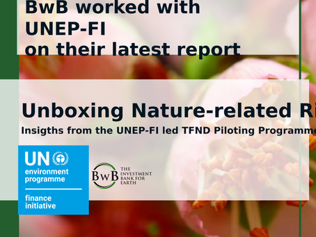 BwB worked with UNEP-FI on their latest report