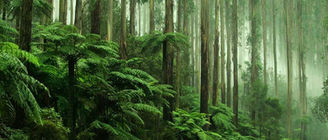 Embedding Nature in Financial Instruments that Respond to the Sovereign Debt Crisis