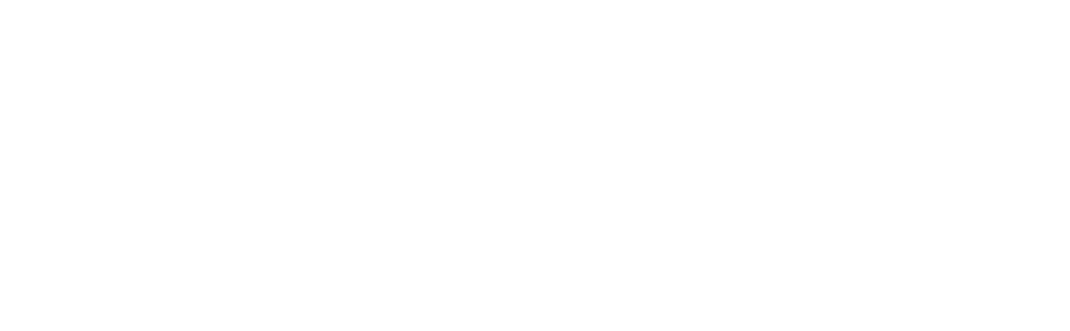 united-logo-white.webp