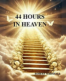 Front Cover 44 hours.jpg