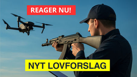 droneregler