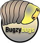 Bugzybugs Logo-colored.png