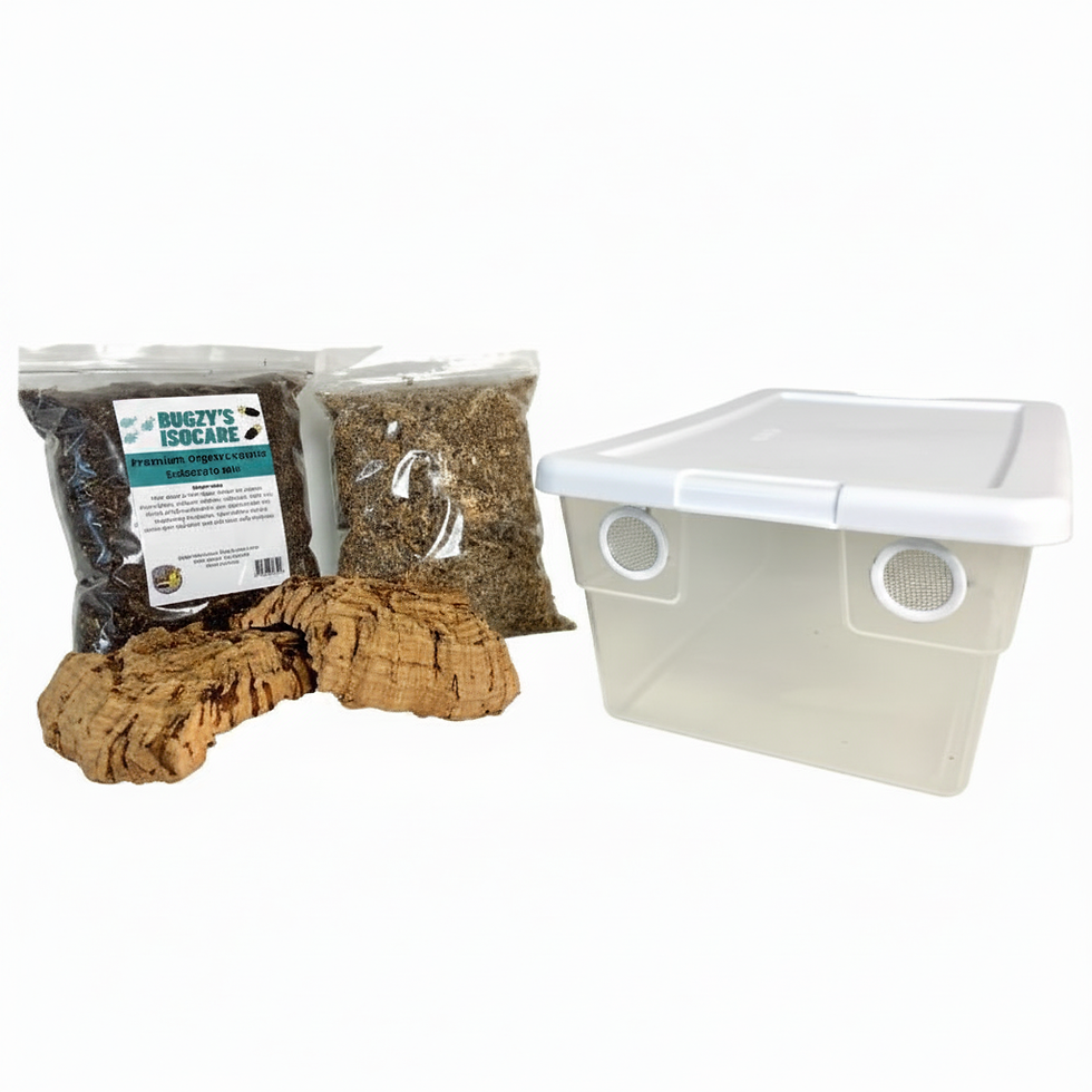 Thumbnail: 6 Quart Breeding Starter Kit
