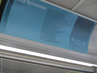 Poetry In Plain Sight, Live!