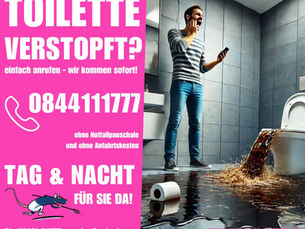 WC verstopft in Zürich? 24h Notdienst von Kanal Ratte AG