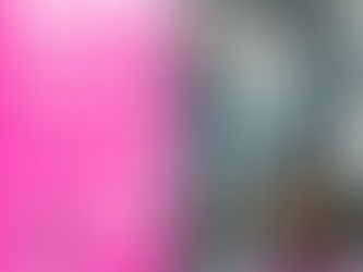 WC verstopft in Zürich? 24h Notdienst von Kanal Ratte AG