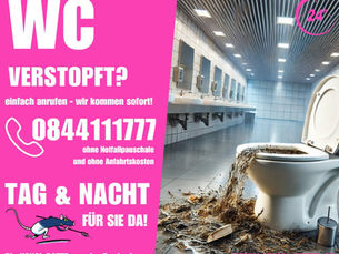 WC verstopft Wil, WC Notfall Uzwil, Toilette reinigen Sirnach, Kanalreinigung Wil SG, Rohrreinigung Gossau, 24h Notdienst WC St. Gallen, Notfall Sanitär Wil, verstopftes Klo Münchwilen, WC Service Ostschweiz, Kanal Ratte AG Wil
