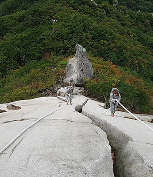 escalade