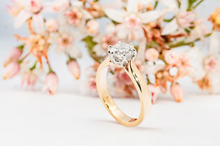 IMG_5784McManus 2021 (1).jpg