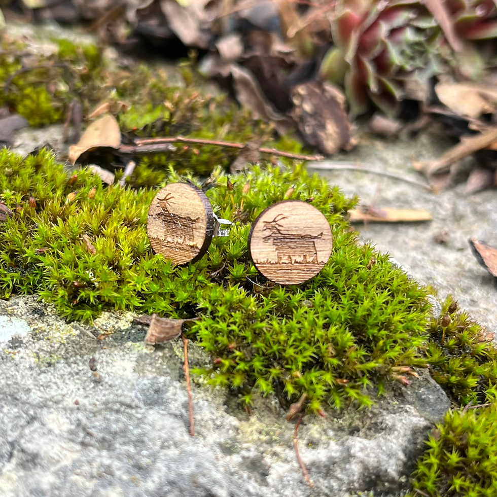 Miniaturbild: «GEISSLI» OHRSTECKER WOOD