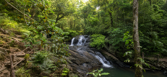 Salakot Falls surrounded by lush tropical rainforest near Puerto Princesa, Palawan