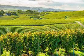 [Régionales hors ligue] Week-end O'Champagne - 31/10 et 01/11/2020