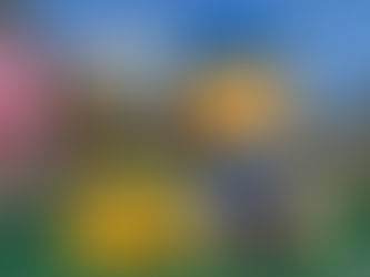 Graduation ceremony of Hyosun Kim