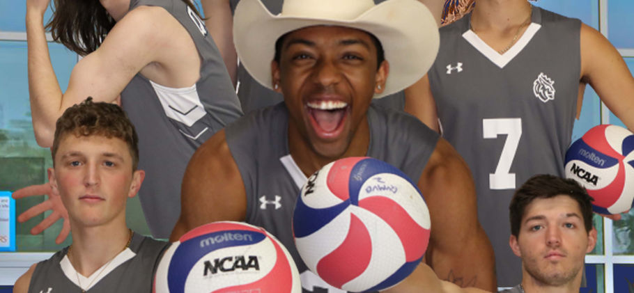 MVball Poster.jpg