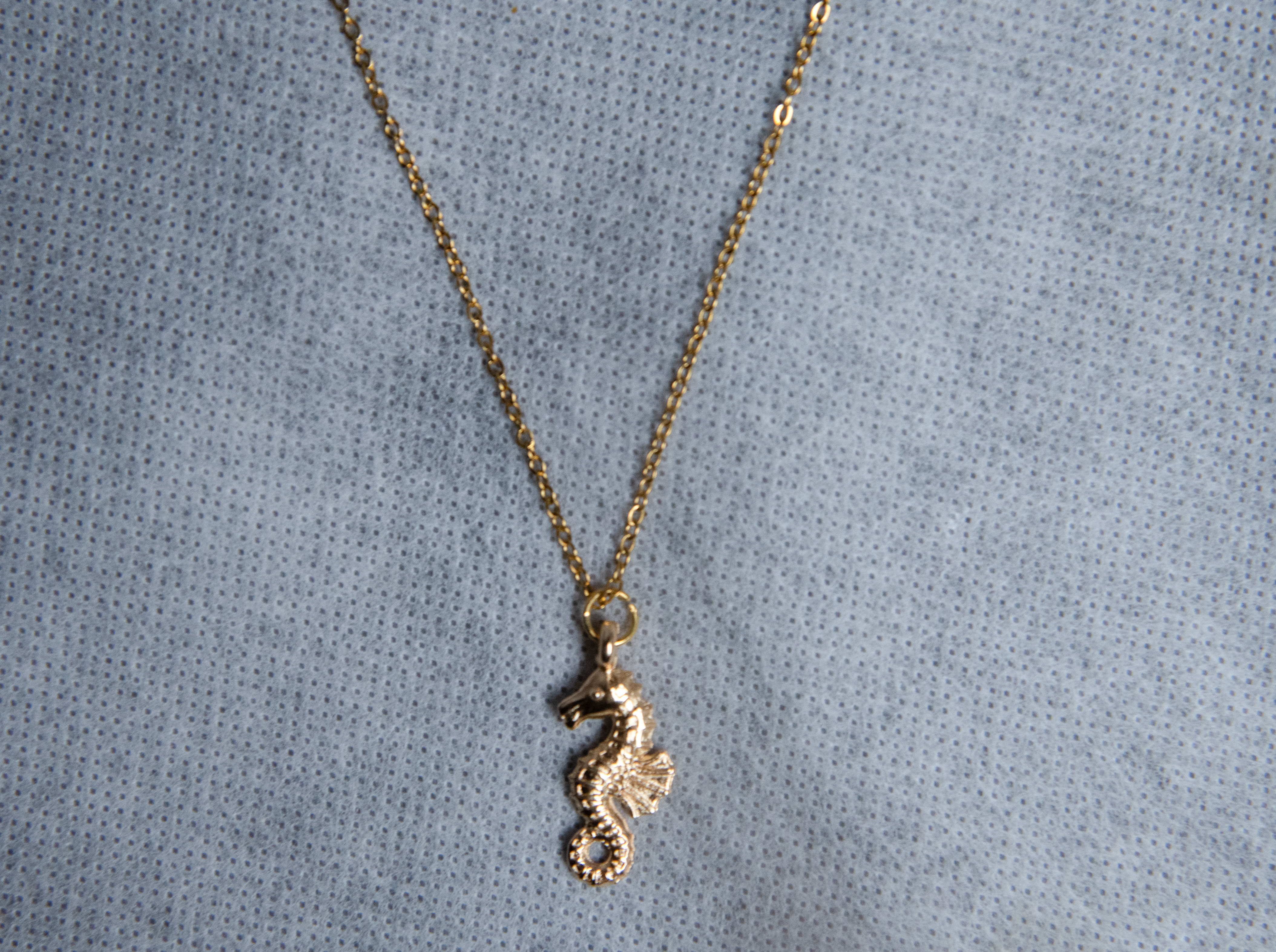 Seahorse