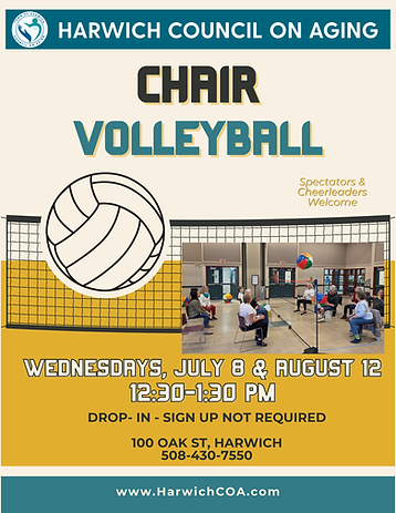 Flyer for Chair Volleyball for July 8 & August 12 events