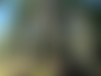 有一嬰孩為我們而生