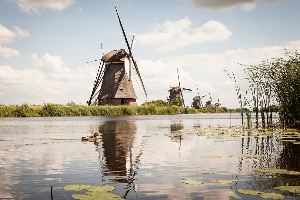 Anja Daleman Fotograaf Amsterdam. A-Shots Photography Amsterdam. Zakelijke fotografie, portretfotografie, event fotografie, interieurfotografie, Personal Branding fotografie, art prints, fotokunst, Hondsdol & Co, Pop-up fotoshoots, Trouwfotografie, Bruidsfotografie, Huwelijksfotografie, Famile fotografie, Familieportret