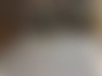 The most helpful mover. Ever.