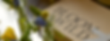 bloom-and-wild.png