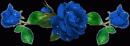 253qw64s7e.gif