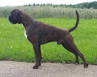 187150164_941866386629587_77577344385573