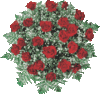 Blumen_00002025aa.gif