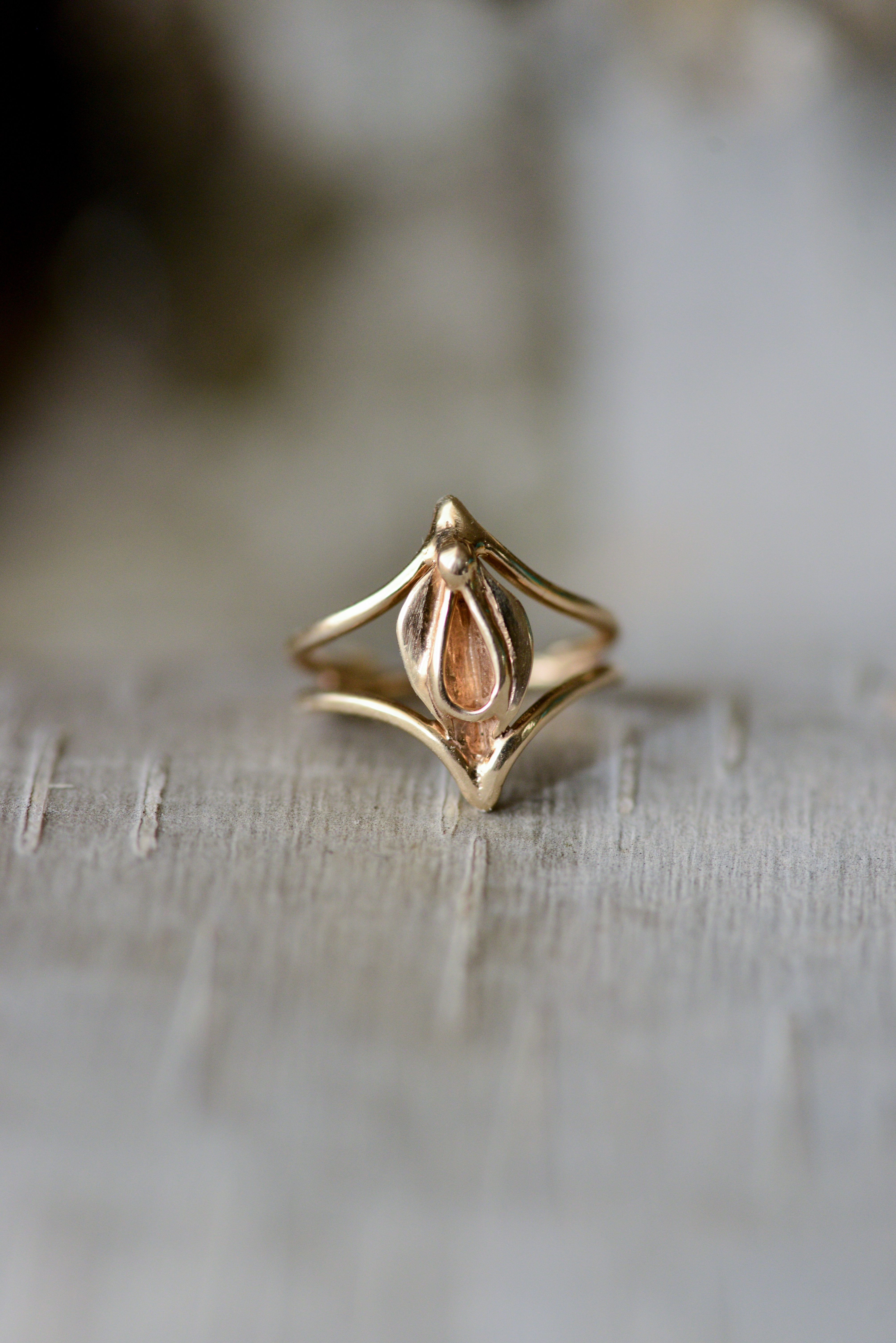 HERA - Vulva Ring
