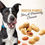 Thumbnail: Dog with roasted peanuts highlighting Wholesomes Gourmet Rewards Nut' R' Nipz Dog & Puppy Treats