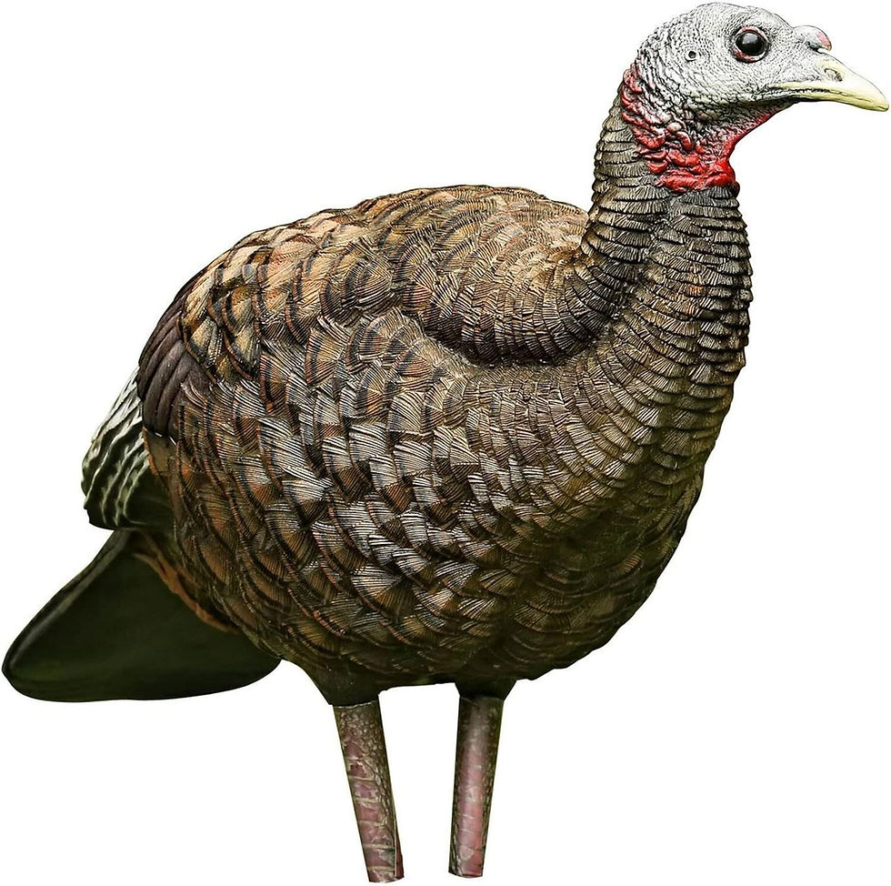 Avian-X LCD Breeder Hen Turkey Decoy