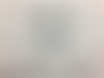 Labor Law Compliance For Business