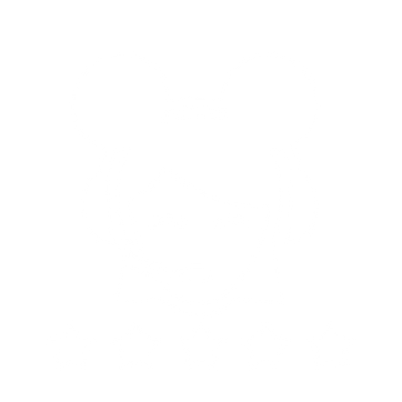 youve got a friend in me white.png