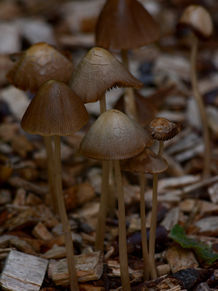 DSC_0251 Edit.jpg