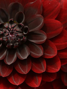 DSC_0375 Edit.jpg