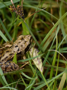 DSC_7514 Edit.jpg
