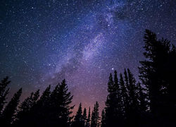 nuit_etoilee_sainte_baume