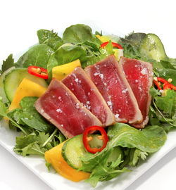 SashTunaSalad3RTSQ_edited