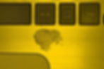 ree