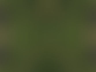 Adam Alydrus presents The Bridge [Sol Selectas]